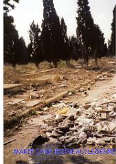 SIDI BEL ABBES CIMETIERE JUIF (1) 2005